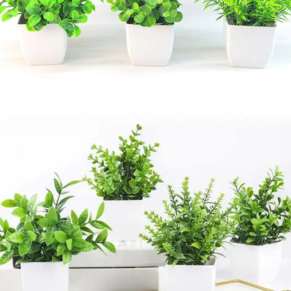 Fausse Plante Décorative