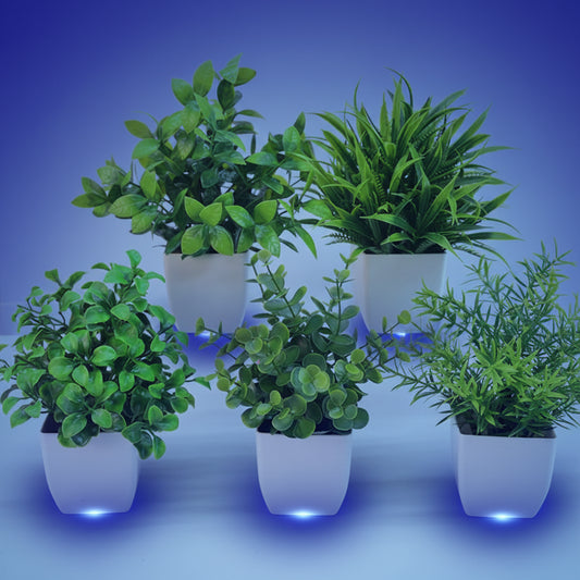 Fausse Plante Décorative